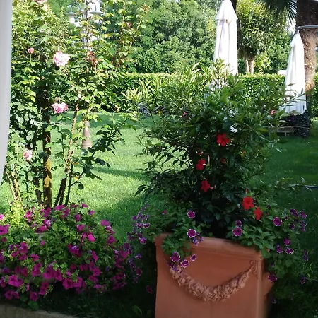 Antica Fenice 3* Campalto